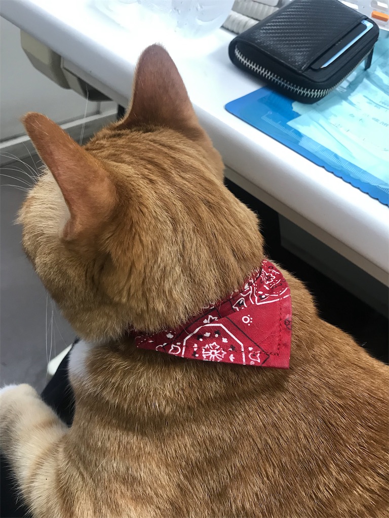 f:id:nichieitaxi:20190624032008j:plain
