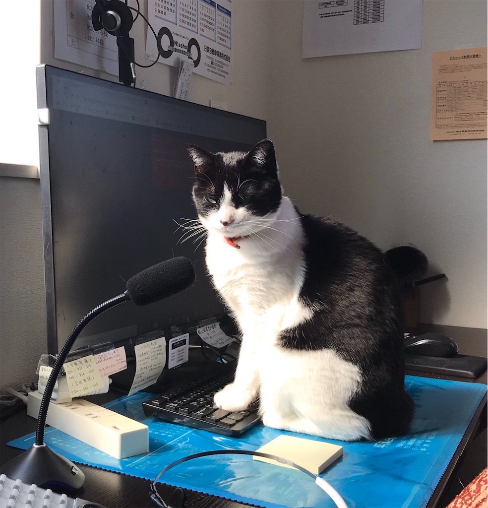 f:id:nichieitaxi:20200413202857j:plain f:id:nichieitaxi:20200413202857j:plain