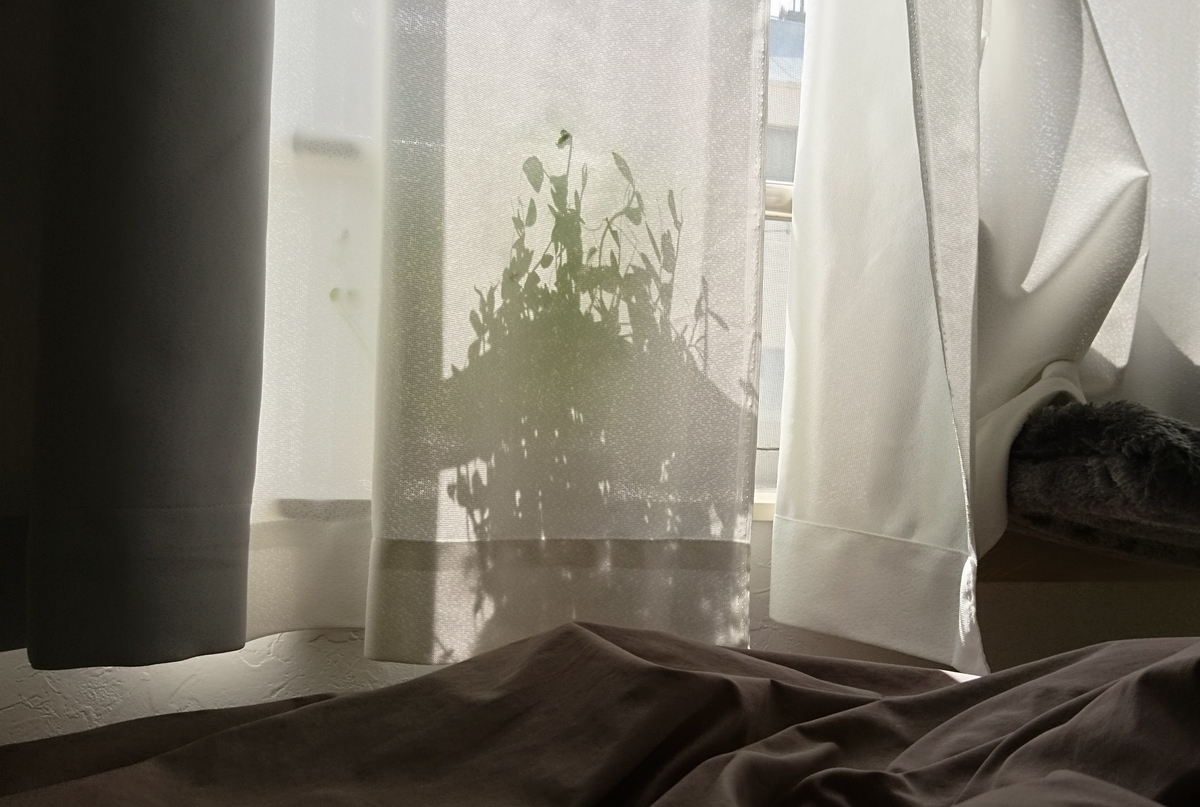 f:id:nichijo-ni-ikiru:20190604182454j:plain f:id:nichijo-ni-ikiru:20190604182454j:plain