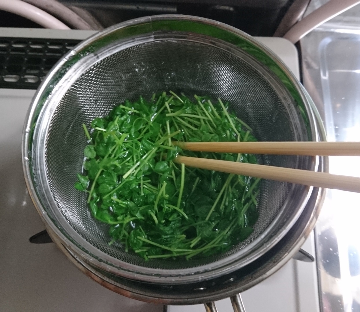 f:id:nichijo-ni-ikiru:20190604182505j:plain f:id:nichijo-ni-ikiru:20190604182505j:plain
