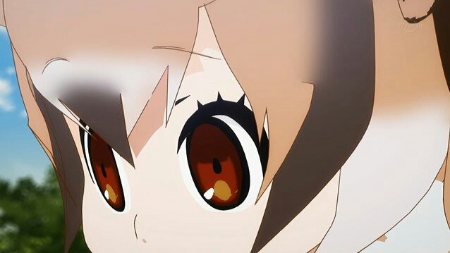 f:id:nichijo888:20170224192534j:image