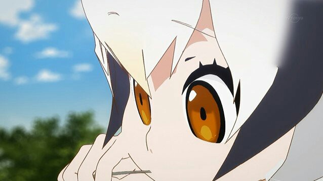 f:id:nichijo888:20170224192549j:image