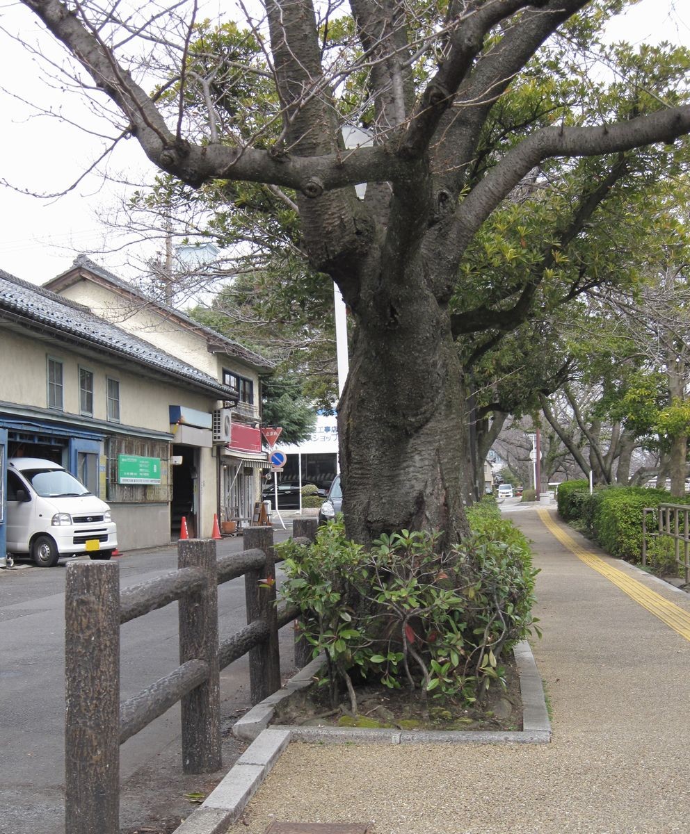 f:id:nichinichisou0607:20150312235008j:plain