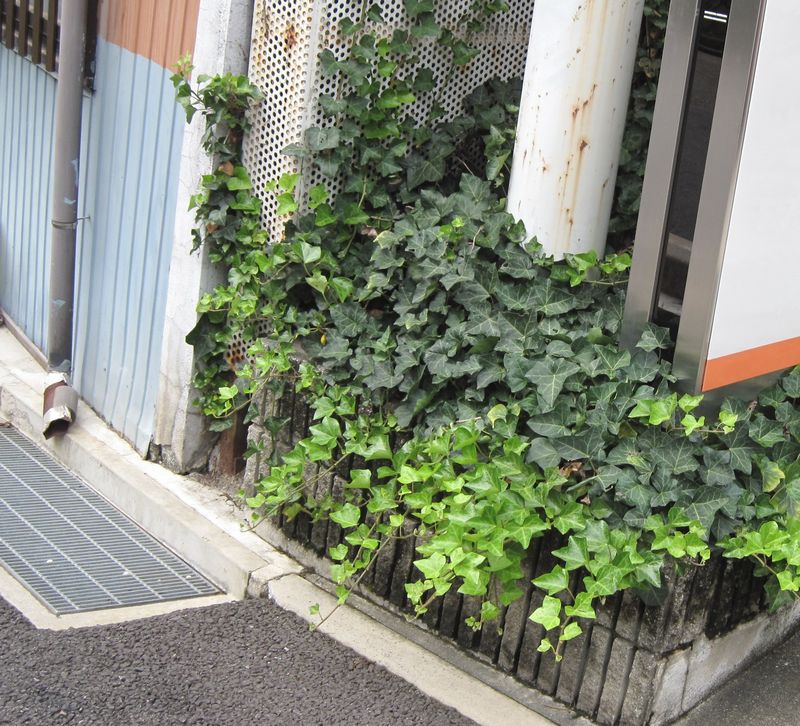f:id:nichinichisou0607:20150927152407j:plain