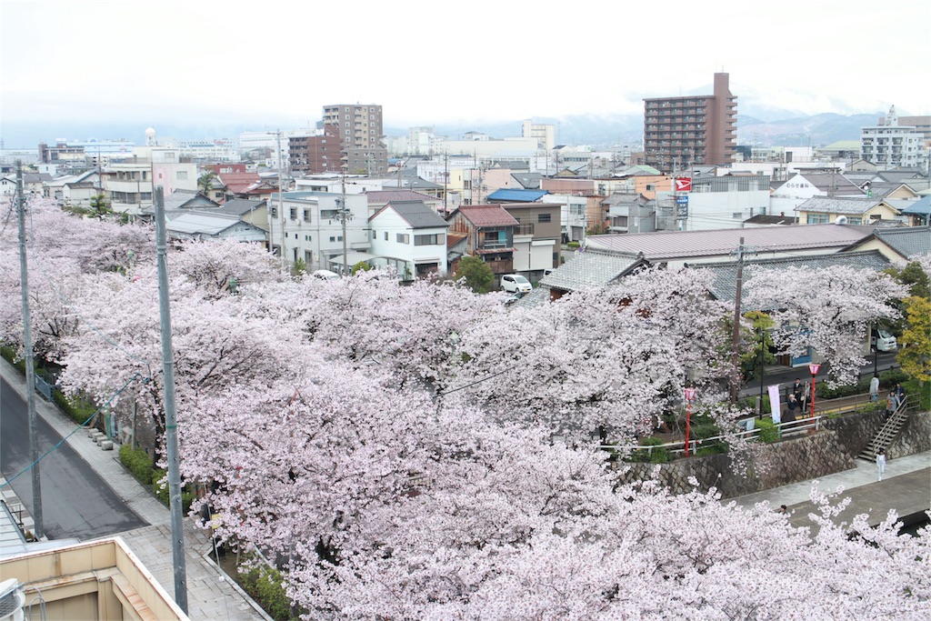 f:id:nichinichisou0808:20180201121448j:plain f:id:nichinichisou0808:20180201121448j:plain