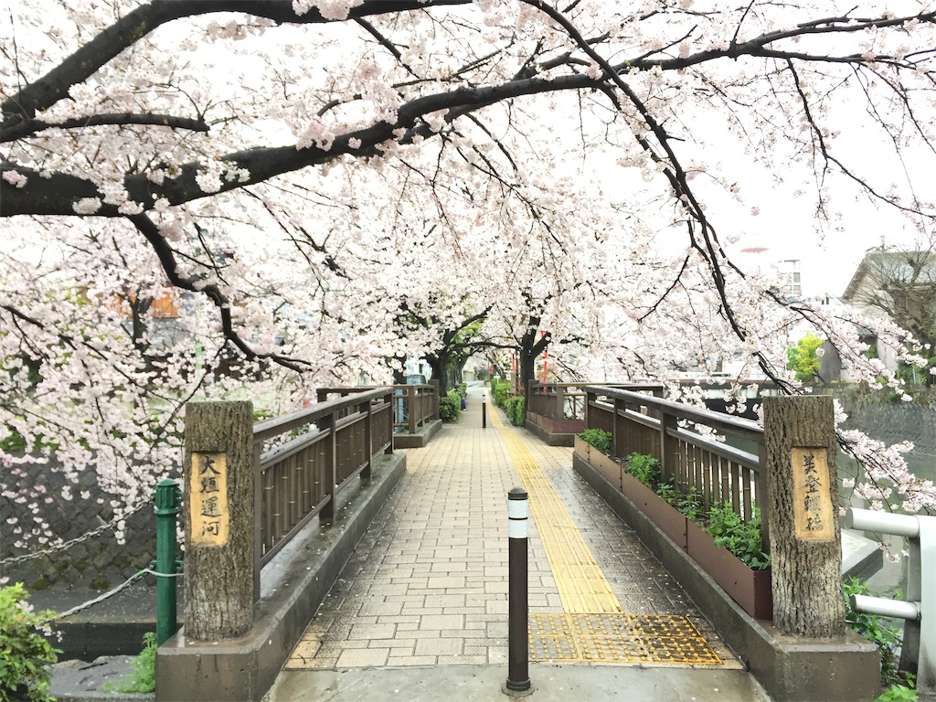 f:id:nichinichisou0808:20190124230954j:image f:id:nichinichisou0808:20190124230954j:image