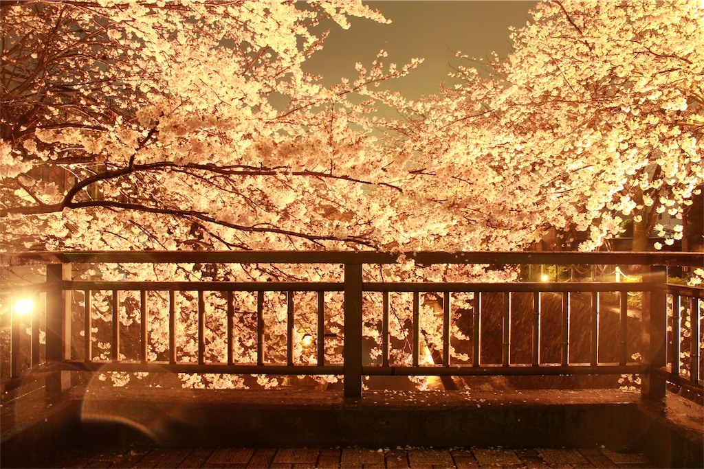 f:id:nichinichisou0808:20190125195124j:image f:id:nichinichisou0808:20190125195124j:image
