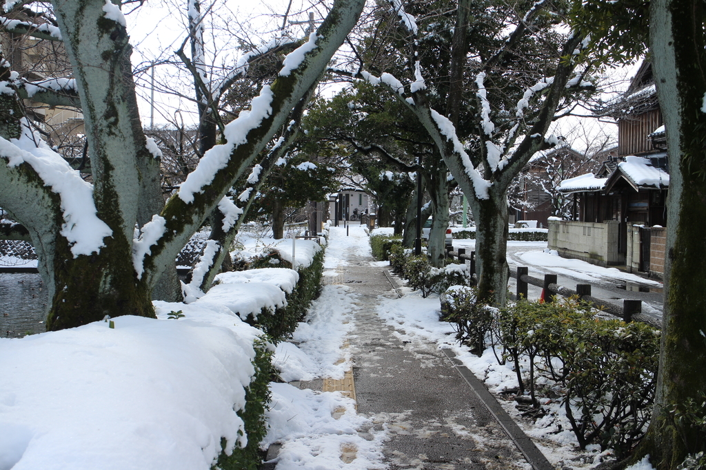 f:id:nichinichisou0808:20190129233239j:plain f:id:nichinichisou0808:20190129233239j:plain