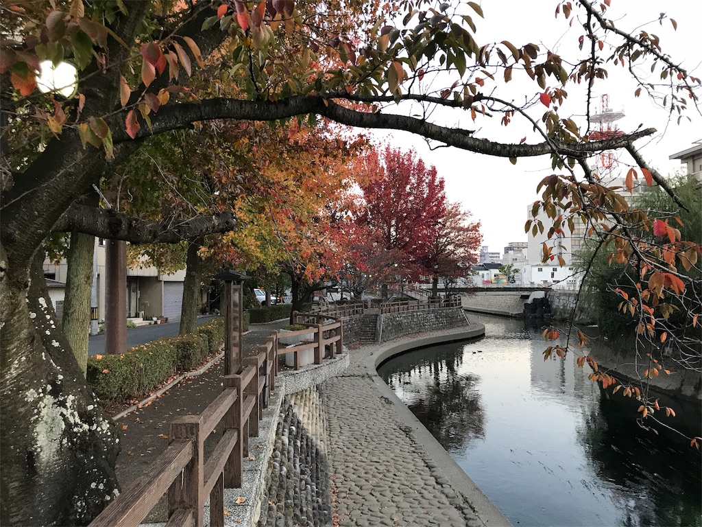 f:id:nichinichisou0808:20190130180233j:image f:id:nichinichisou0808:20190130180233j:image