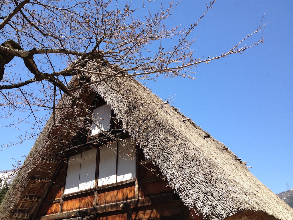 f:id:nichinichisou0808:20190314192536j:image f:id:nichinichisou0808:20190314192536j:image
