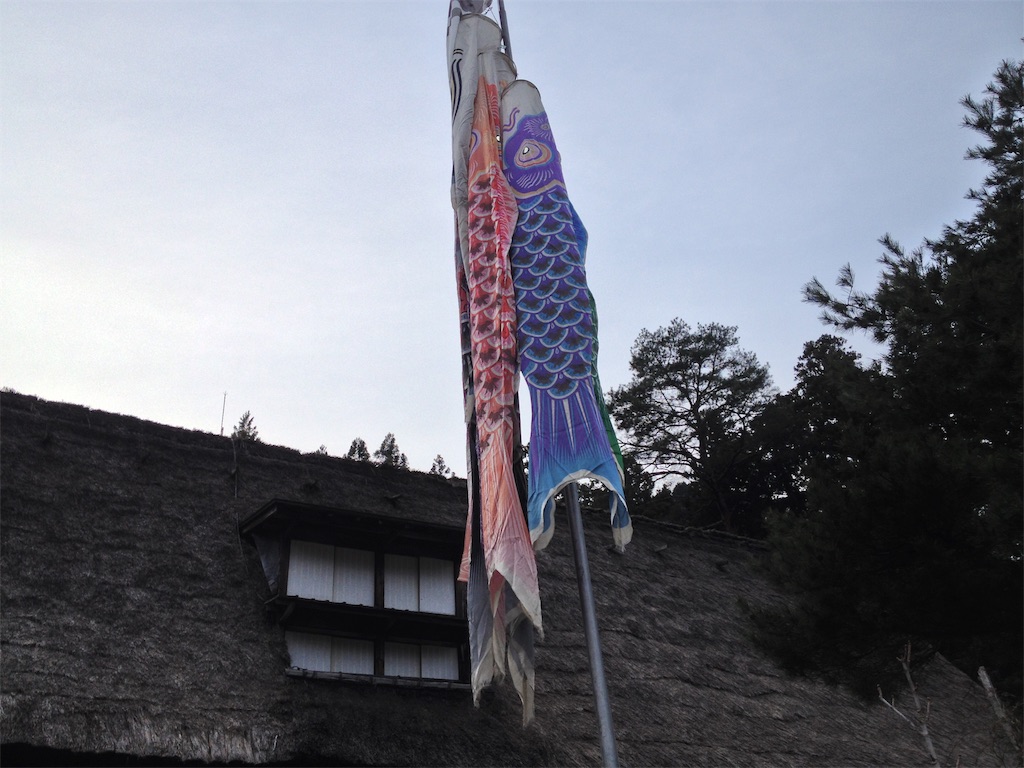 f:id:nichinichisou0808:20190314192556j:image f:id:nichinichisou0808:20190314192556j:image