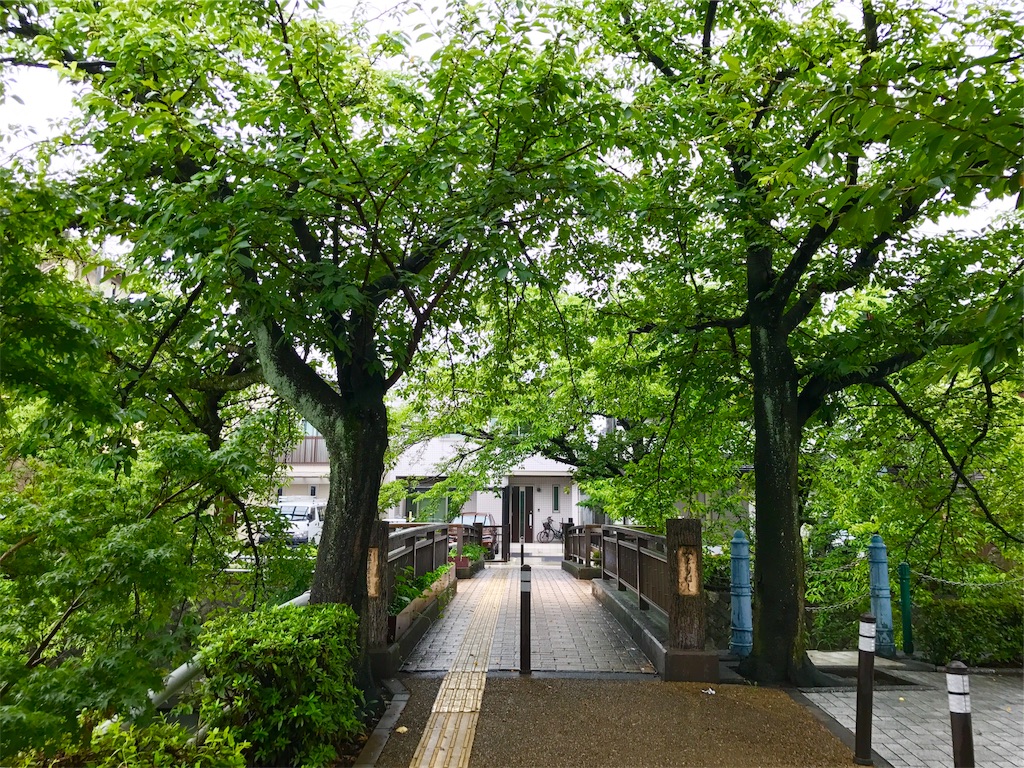 f:id:nichinichisou0808:20190322165207j:image f:id:nichinichisou0808:20190322165207j:image
