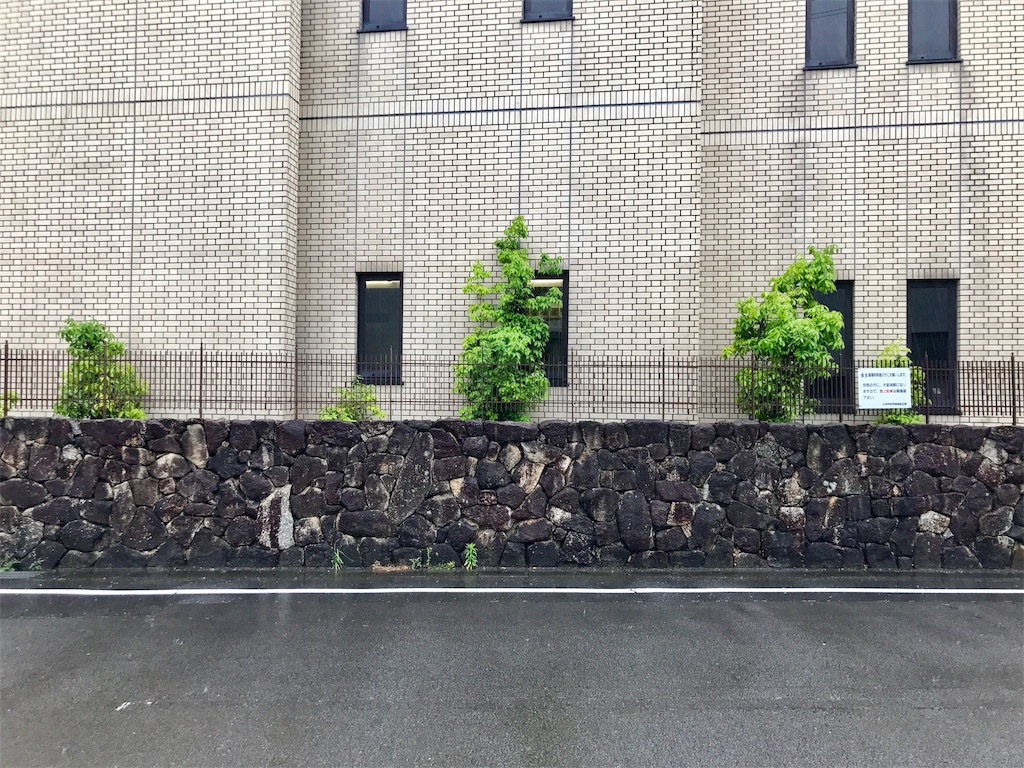 f:id:nichinichisou0808:20190518201328j:image f:id:nichinichisou0808:20190518201328j:image