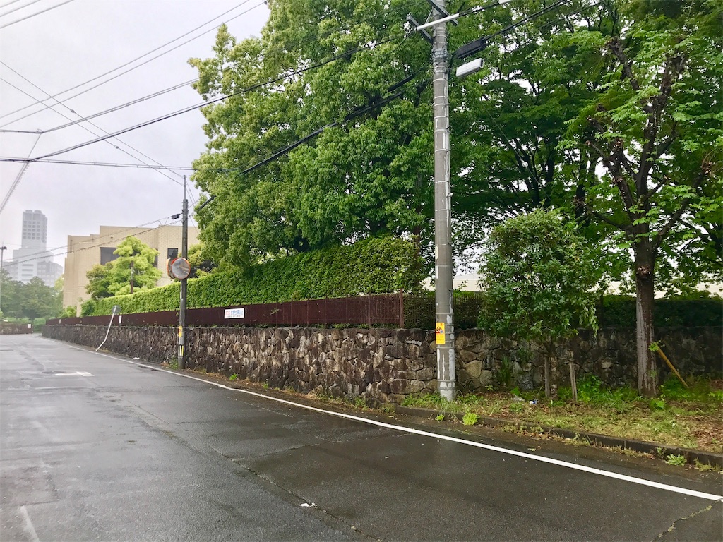 f:id:nichinichisou0808:20190518201336j:image f:id:nichinichisou0808:20190518201336j:image
