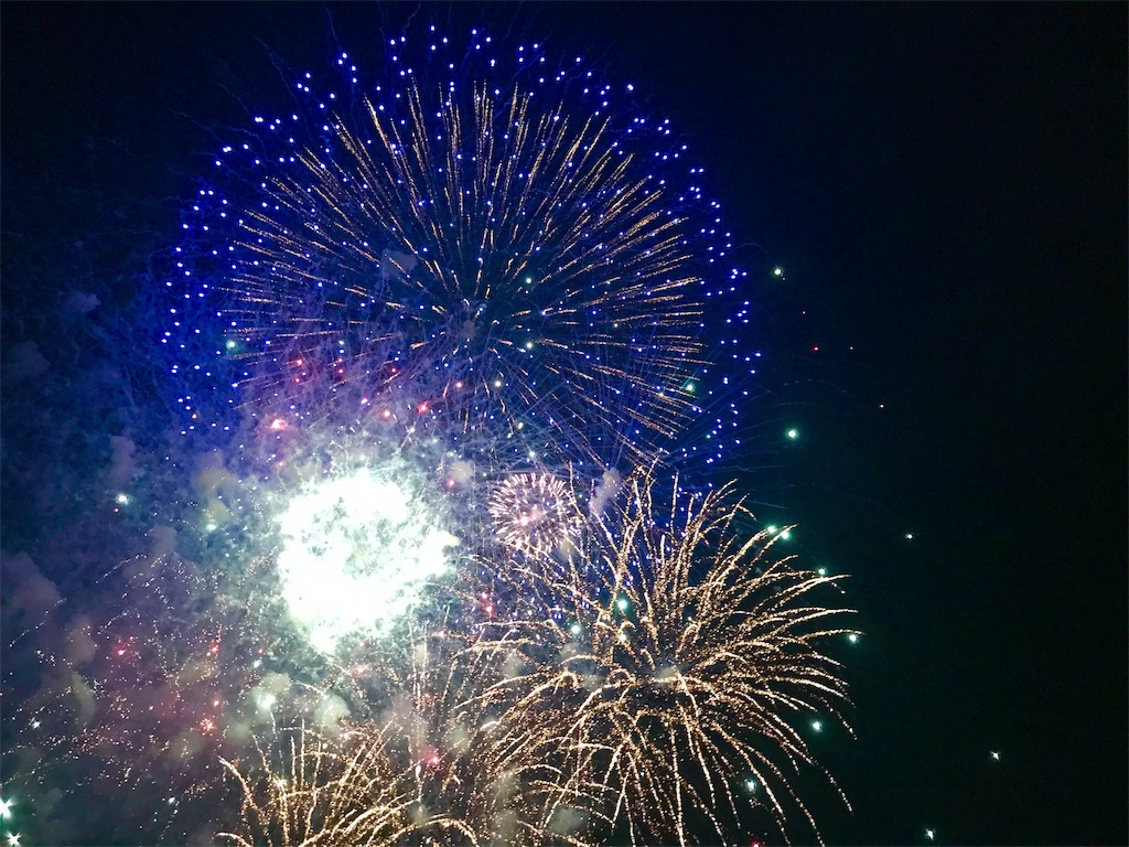 f:id:nichinichisou0808:20190518210157j:image f:id:nichinichisou0808:20190518210157j:image