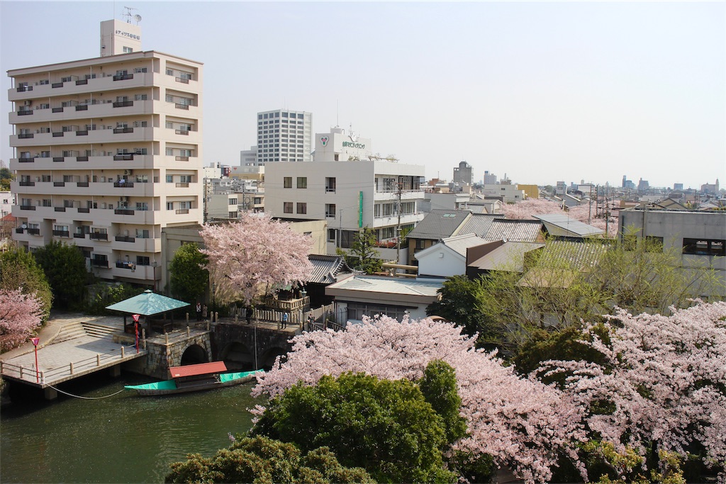 f:id:nichinichisou0808:20190518235703j:image f:id:nichinichisou0808:20190518235703j:image