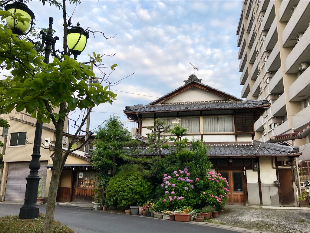 f:id:nichinichisou0808:20190520060335j:image f:id:nichinichisou0808:20190520060335j:image