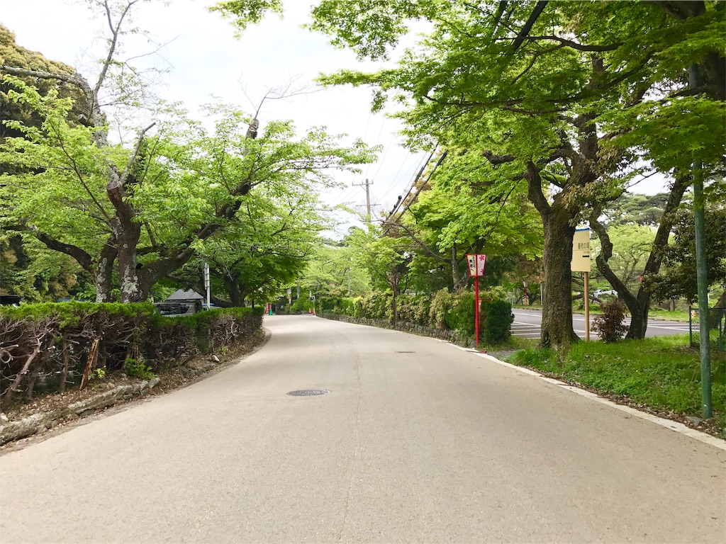 f:id:nichinichisou0808:20190520061122j:image f:id:nichinichisou0808:20190520061122j:image