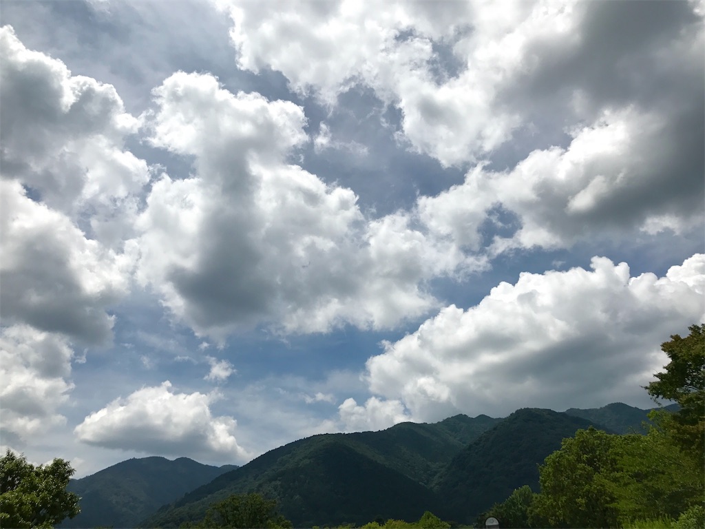 f:id:nichinichisou0808:20190520061222j:image f:id:nichinichisou0808:20190520061222j:image