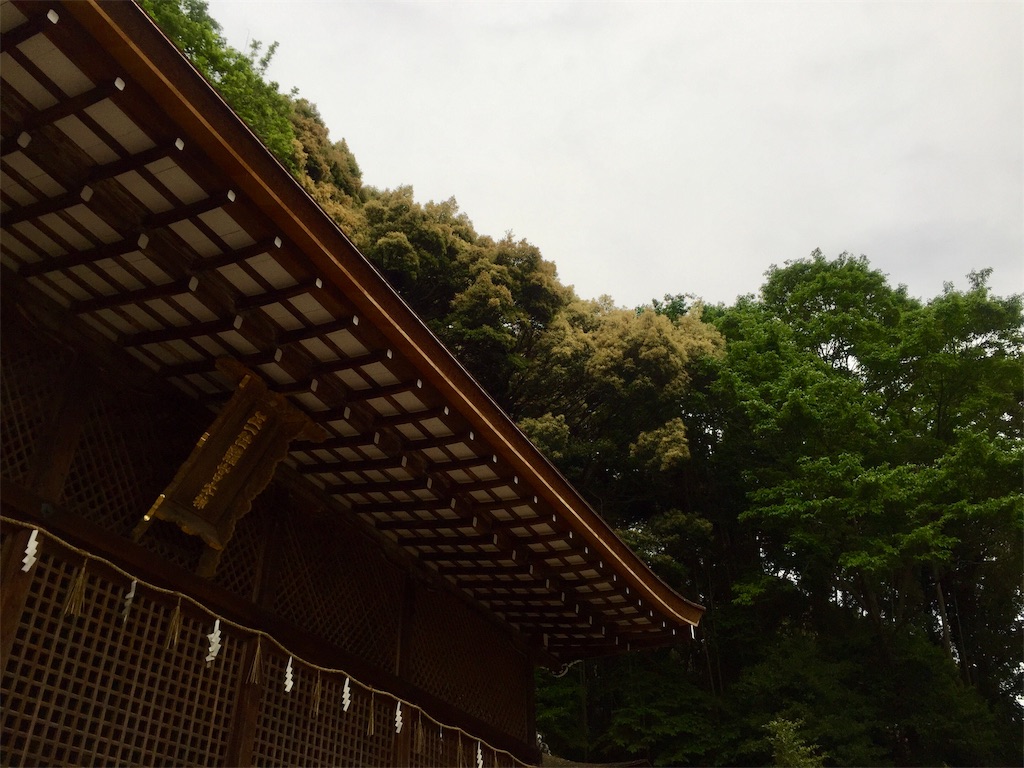 f:id:nichinichisou0808:20190521034452j:image f:id:nichinichisou0808:20190521034452j:image