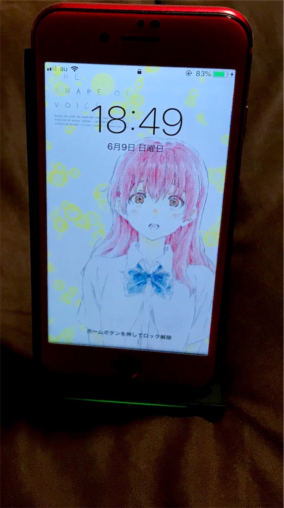 f:id:nichinichisou0808:20190609213808j:image f:id:nichinichisou0808:20190609213808j:image