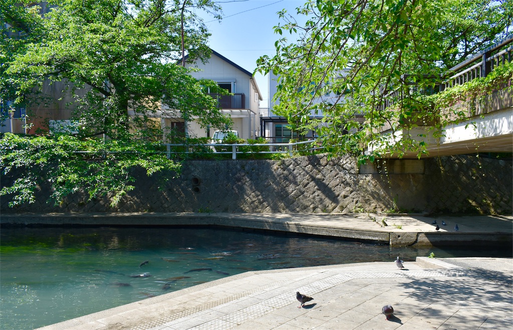 f:id:nichinichisou0808:20190712232226j:image f:id:nichinichisou0808:20190712232226j:image