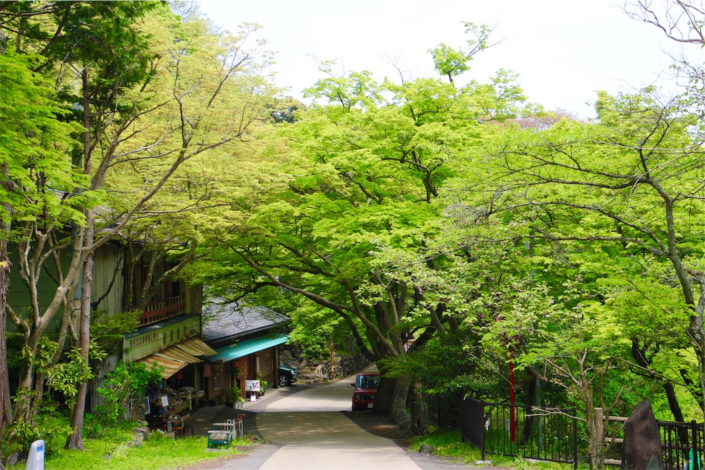 f:id:nichinichisou0808:20190713004748j:image f:id:nichinichisou0808:20190713004748j:image