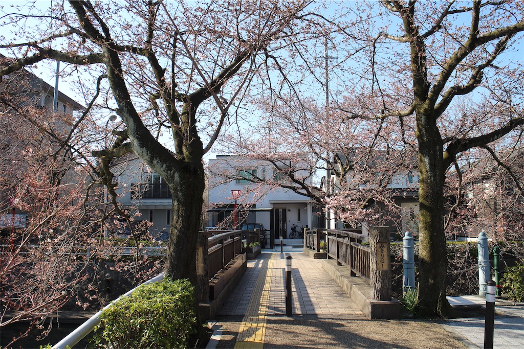 f:id:nichinichisou0808:20190721045844j:image f:id:nichinichisou0808:20190721045844j:image