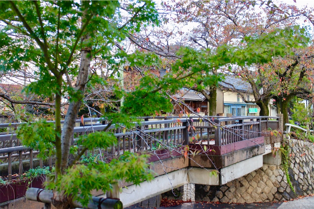 f:id:nichinichisou0808:20190721064643j:image f:id:nichinichisou0808:20190721064643j:image