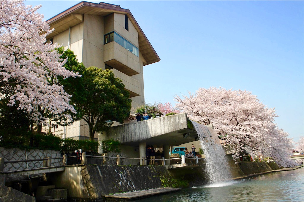 f:id:nichinichisou0808:20190721065453j:image f:id:nichinichisou0808:20190721065453j:image
