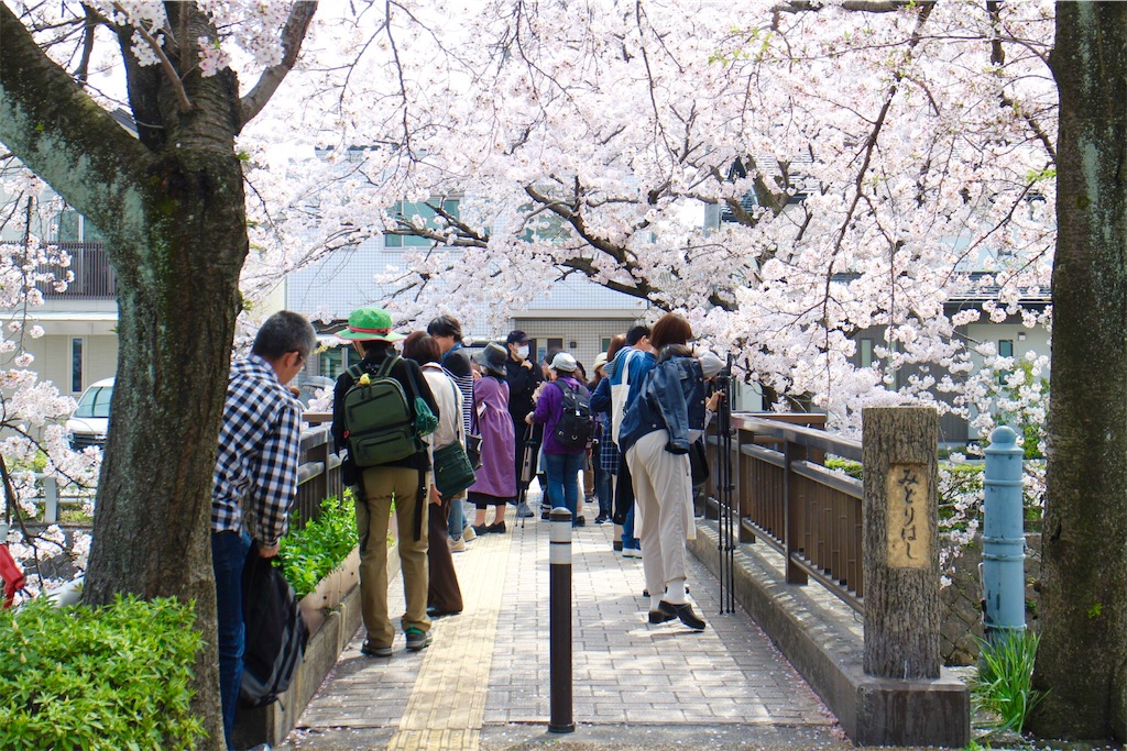 f:id:nichinichisou0808:20190721065456j:image f:id:nichinichisou0808:20190721065456j:image