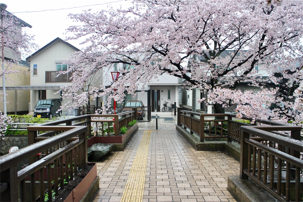 f:id:nichinichisou0808:20190722140618j:image f:id:nichinichisou0808:20190722140618j:image