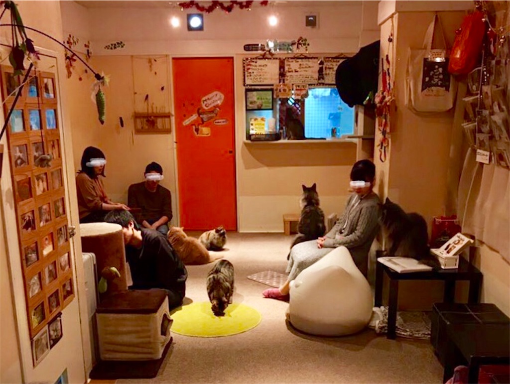 f:id:nichinichisou0808:20190723000846j:image f:id:nichinichisou0808:20190723000846j:image