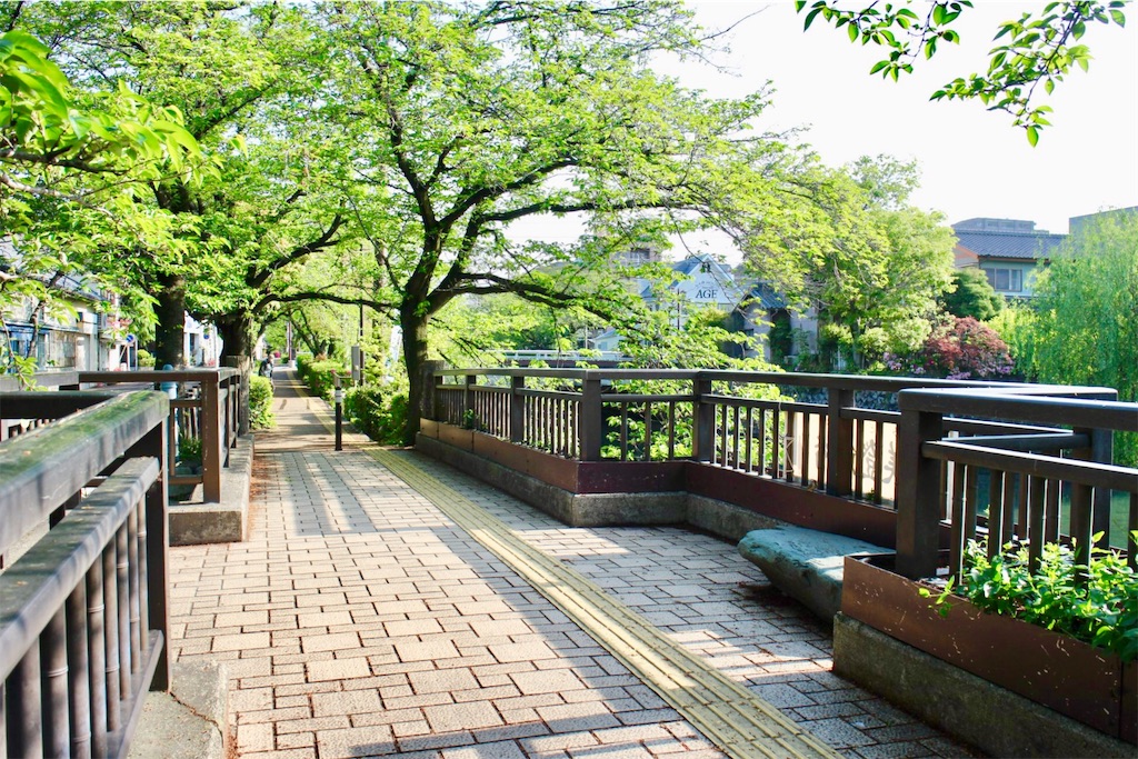 f:id:nichinichisou0808:20190726160008j:image f:id:nichinichisou0808:20190726160008j:image