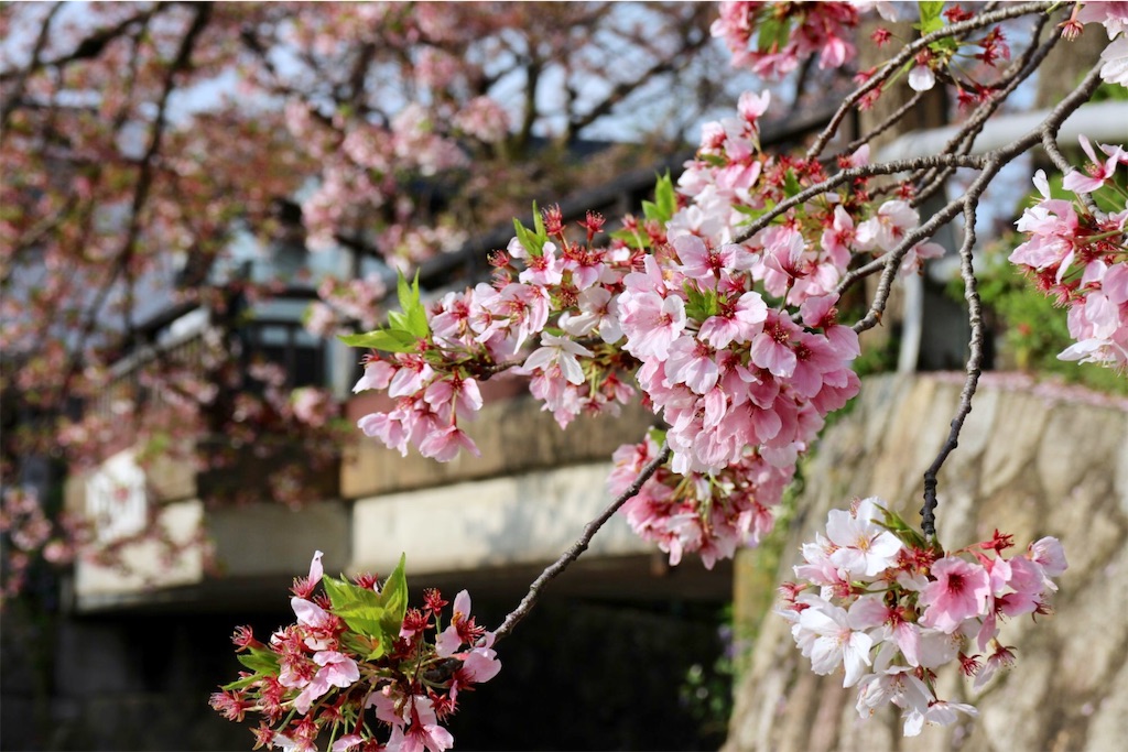 f:id:nichinichisou0808:20190726160139j:image f:id:nichinichisou0808:20190726160139j:image