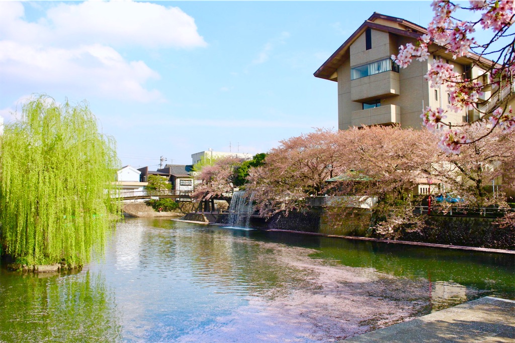 f:id:nichinichisou0808:20190726160338j:image f:id:nichinichisou0808:20190726160338j:image