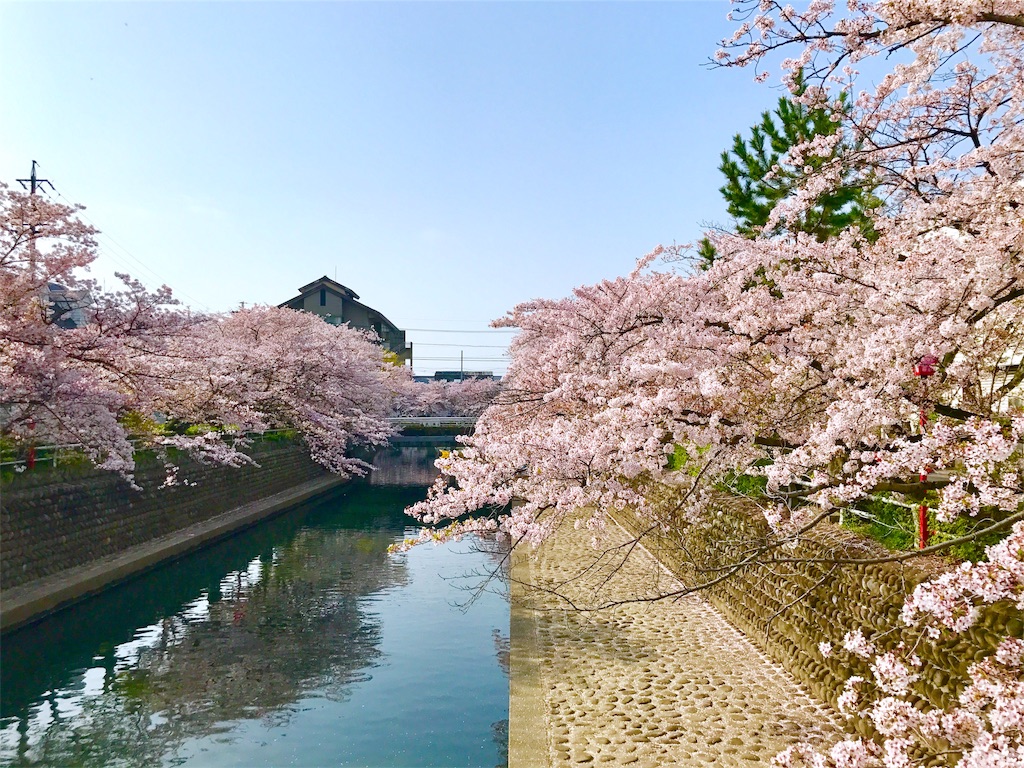 f:id:nichinichisou0808:20190726175024j:image f:id:nichinichisou0808:20190726175024j:image