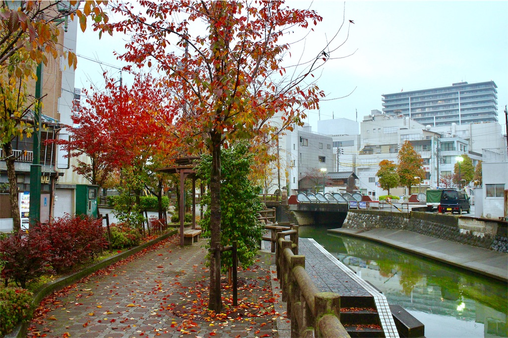 f:id:nichinichisou0808:20190727014356j:image f:id:nichinichisou0808:20190727014356j:image
