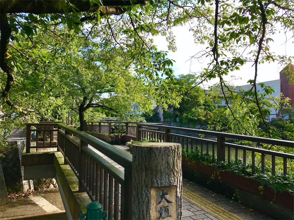 f:id:nichinichisou0808:20190727080348j:image f:id:nichinichisou0808:20190727080348j:image