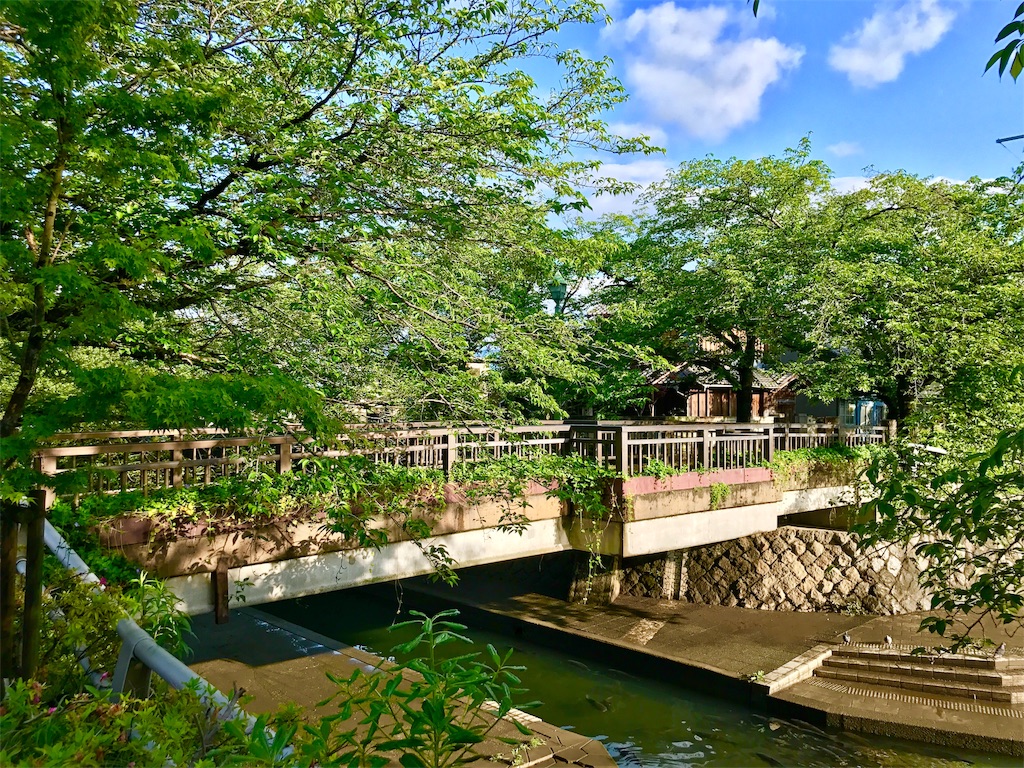 f:id:nichinichisou0808:20190727080358j:image f:id:nichinichisou0808:20190727080358j:image
