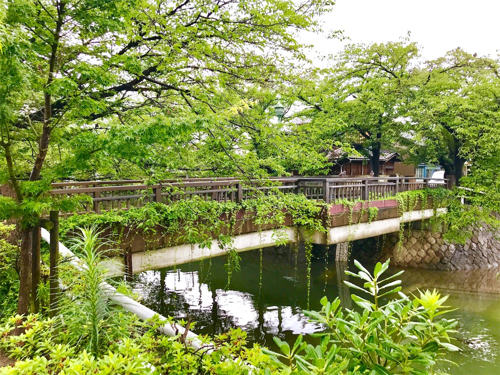 f:id:nichinichisou0808:20190727080658j:image f:id:nichinichisou0808:20190727080658j:image