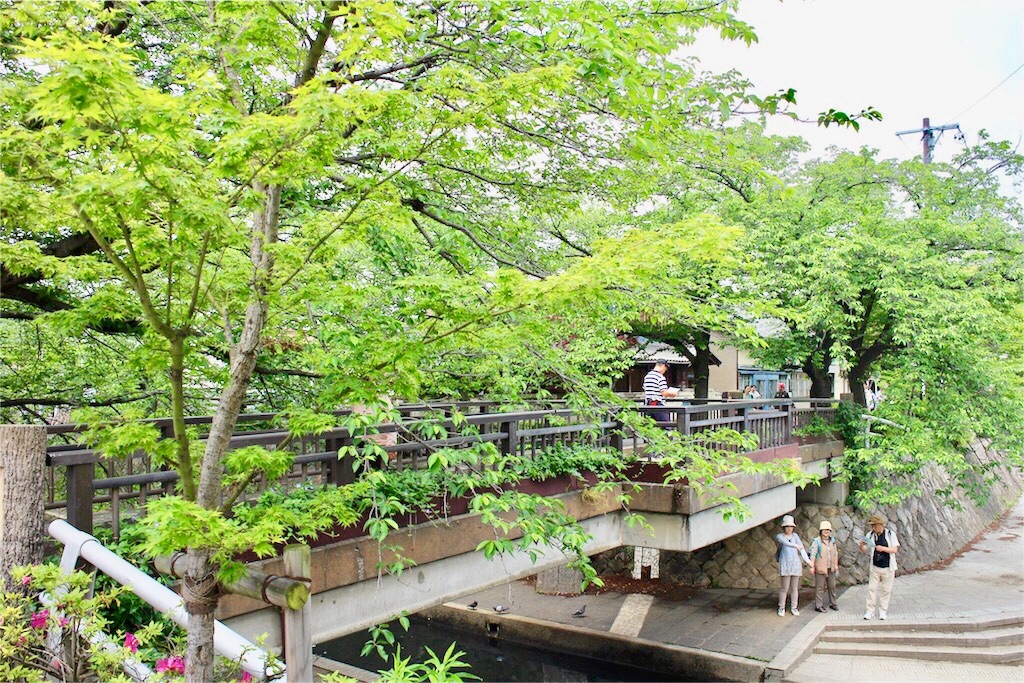 f:id:nichinichisou0808:20190727081247j:image f:id:nichinichisou0808:20190727081247j:image