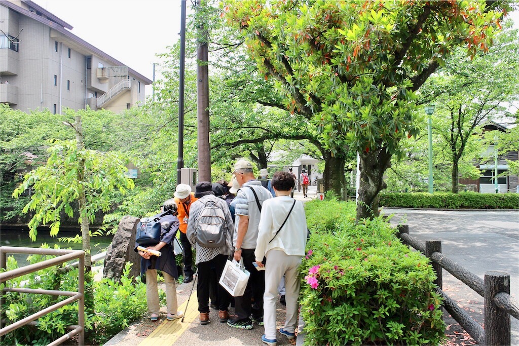 f:id:nichinichisou0808:20190727081250j:image f:id:nichinichisou0808:20190727081250j:image