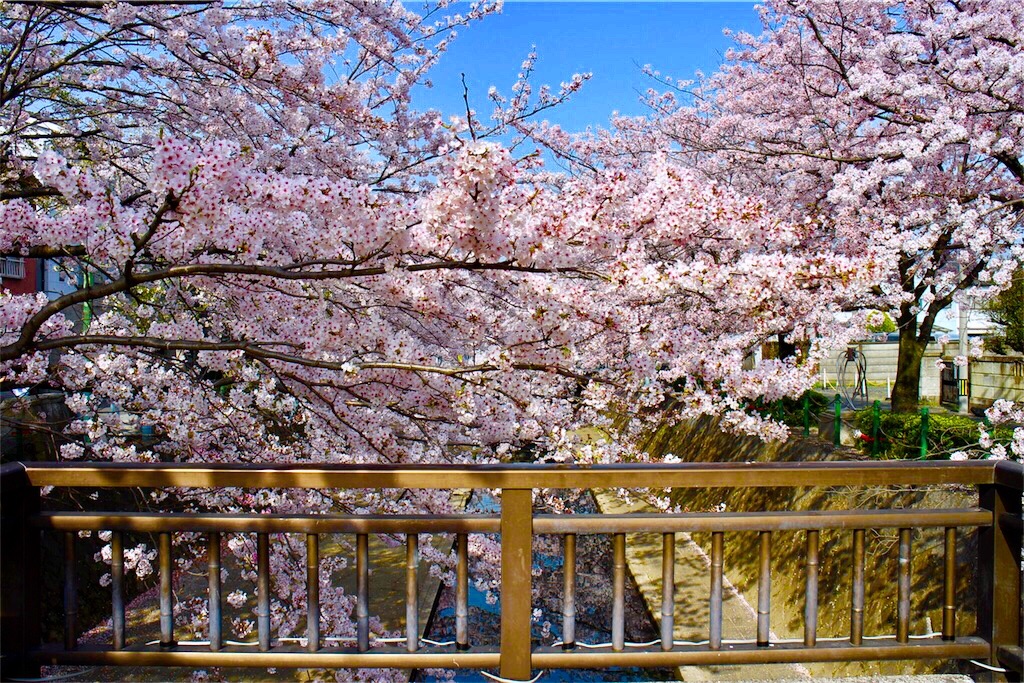 f:id:nichinichisou0808:20190727093256j:image f:id:nichinichisou0808:20190727093256j:image