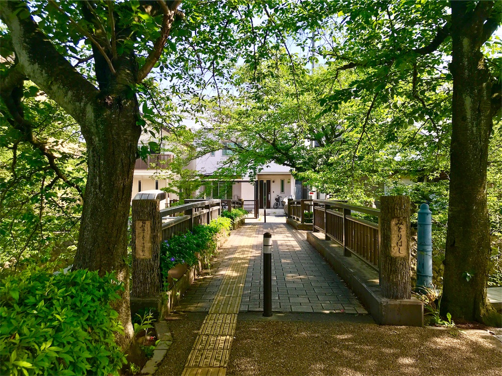 f:id:nichinichisou0808:20190727153208j:image f:id:nichinichisou0808:20190727153208j:image