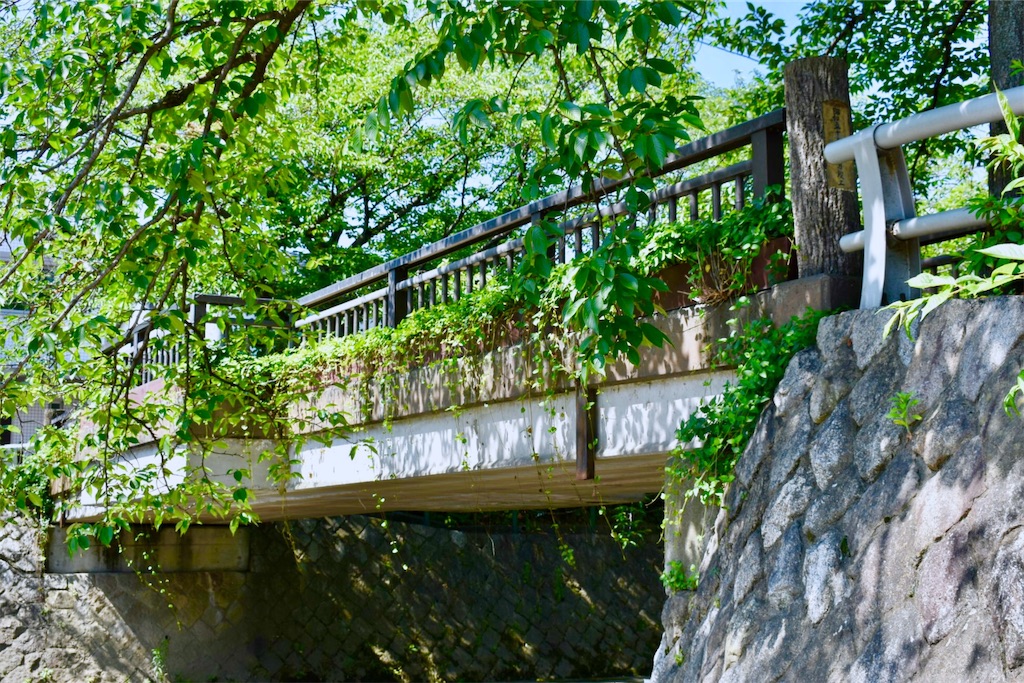f:id:nichinichisou0808:20190727160938j:image f:id:nichinichisou0808:20190727160938j:image