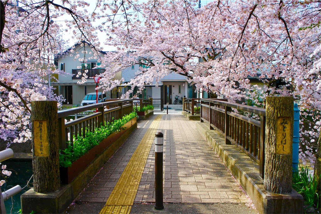 f:id:nichinichisou0808:20190731202249j:image f:id:nichinichisou0808:20190731202249j:image