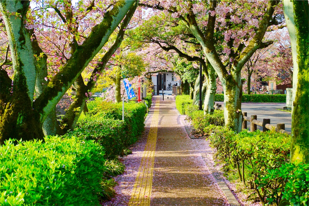 f:id:nichinichisou0808:20190731203315j:image f:id:nichinichisou0808:20190731203315j:image