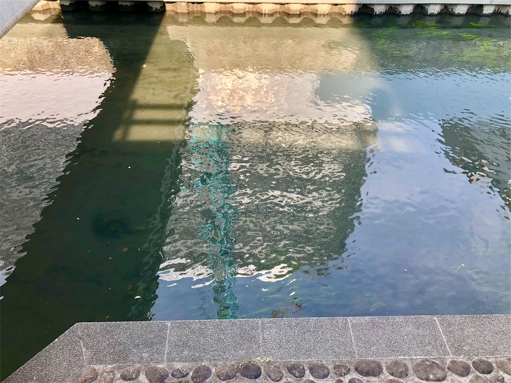 f:id:nichinichisou0808:20190731204501j:image f:id:nichinichisou0808:20190731204501j:image