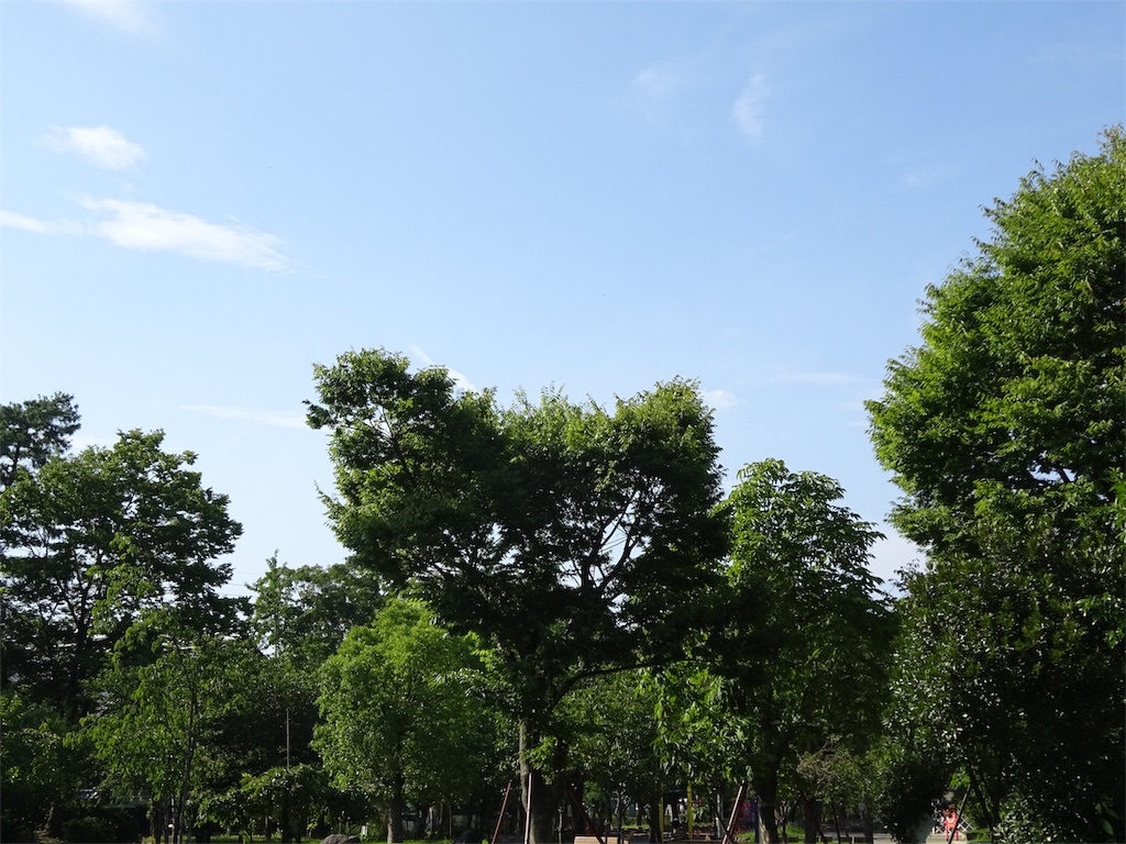 f:id:nichinichisou0808:20190731204826j:image f:id:nichinichisou0808:20190731204826j:image